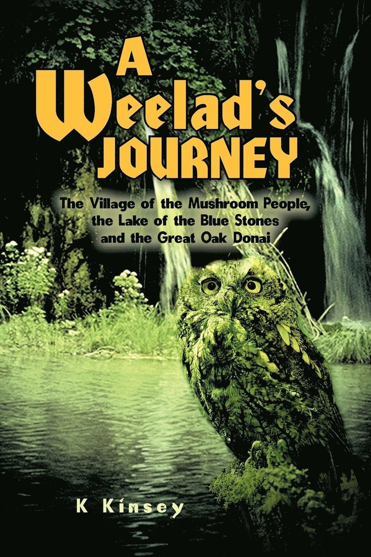 A Weelad's Journey 1