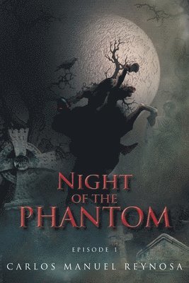 bokomslag Night of the Phantom