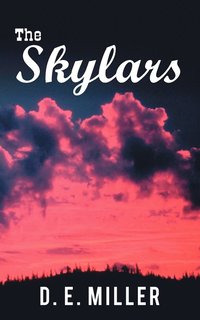 bokomslag Skylars