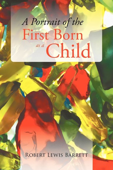 bokomslag Portrait of the First Born as a Child