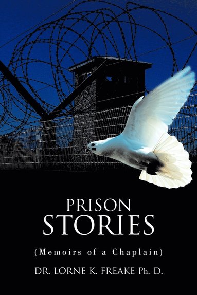 bokomslag Prison Stories