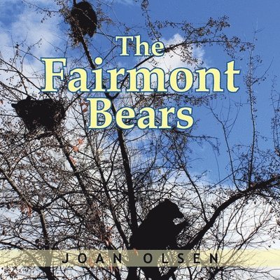 The Fairmont Bears 1