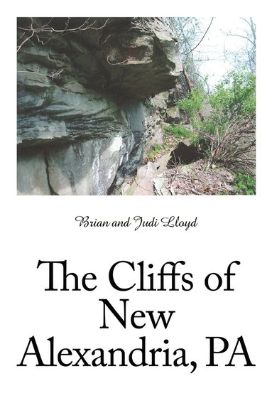 bokomslag The Cliffs of New Alexandria, PA