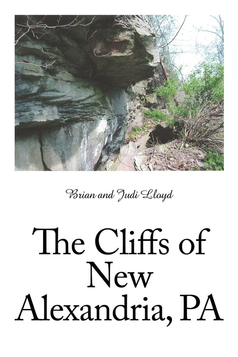 The Cliffs of New Alexandria, PA 1