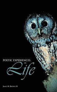 bokomslag Poetic Experiences of Life