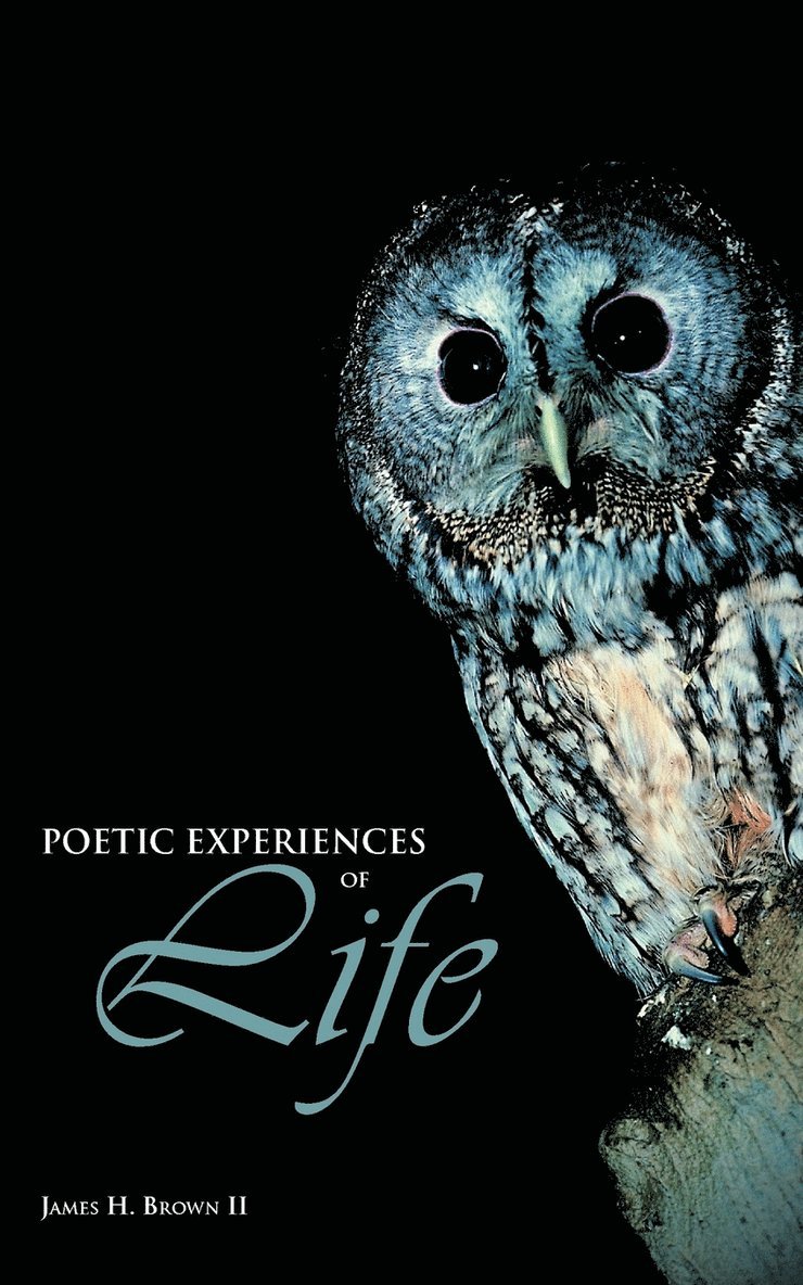 Poetic Experiences of Life 1