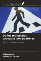 Jean Marie Beck - Bringer of Light, Inbunden