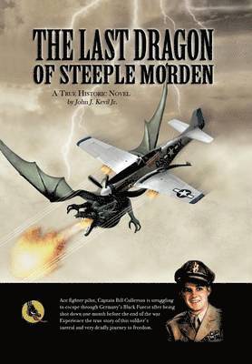 bokomslag Last Dragon of Steeple Morden