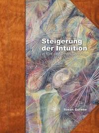 bokomslag Steiger der Intuition