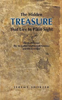 The Hidden Treasure That Lies in Plain Sight 1