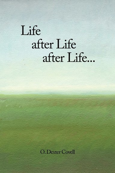 bokomslag Life After Life After Life...