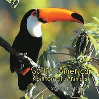 bokomslag South America Rainforest Animals