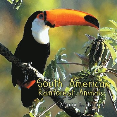 Maria L. Lopes - South America Rainforest Animals, Häftad