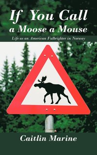 bokomslag If You Call A Moose A Mouse