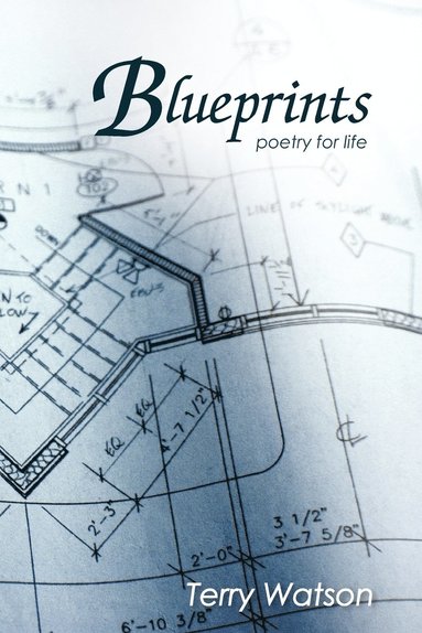 bokomslag Blueprints