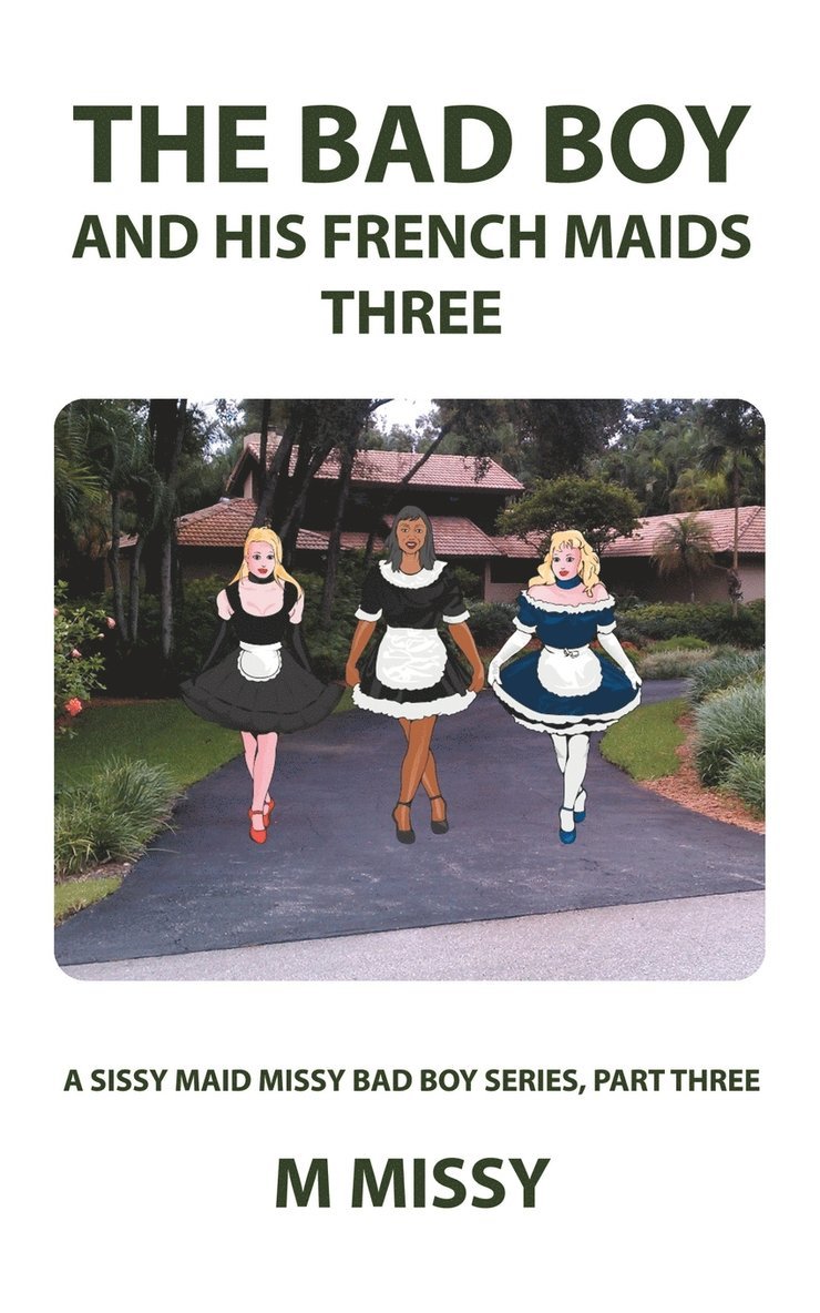 The Bad Boy and His French Maids, Three 1