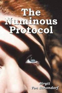 bokomslag The Numinous Protocol