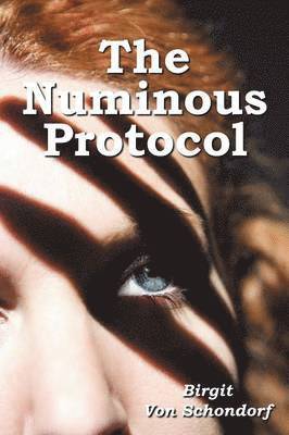 bokomslag Numinous Protocol
