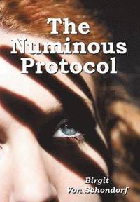bokomslag Numinous Protocol
