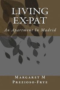 bokomslag An Apartment In Madrid