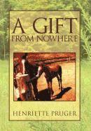 bokomslag Gift from Nowhere