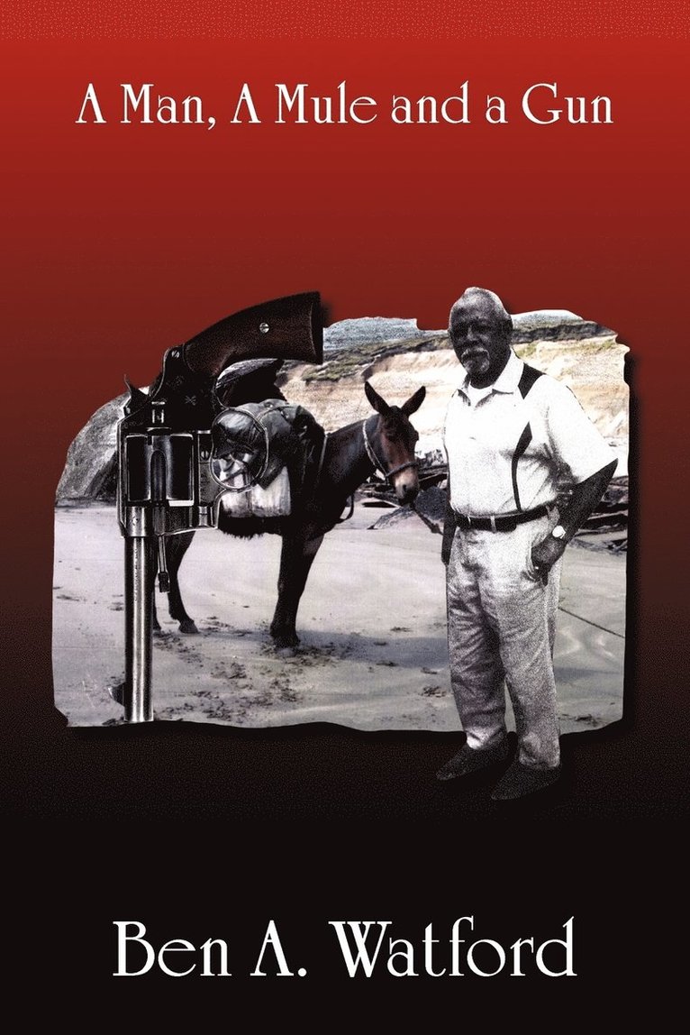 Man, a Mule and a Gun
