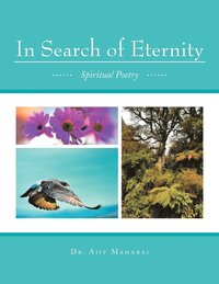 bokomslag In Search of Eternity