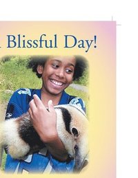 bokomslag Blissful Day!