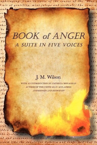 bokomslag Book of Anger