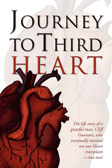 bokomslag Journey to Third Heart