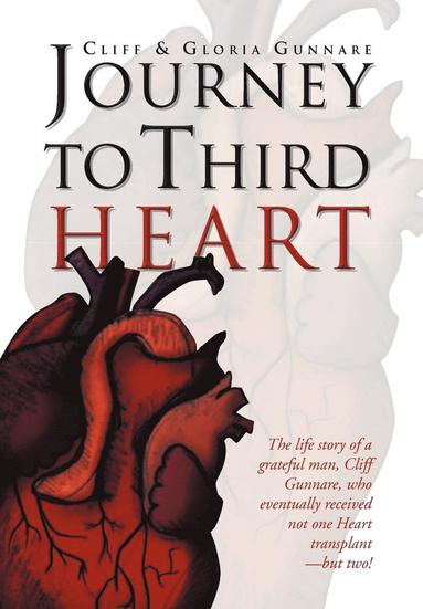 bokomslag Journey to Third Heart