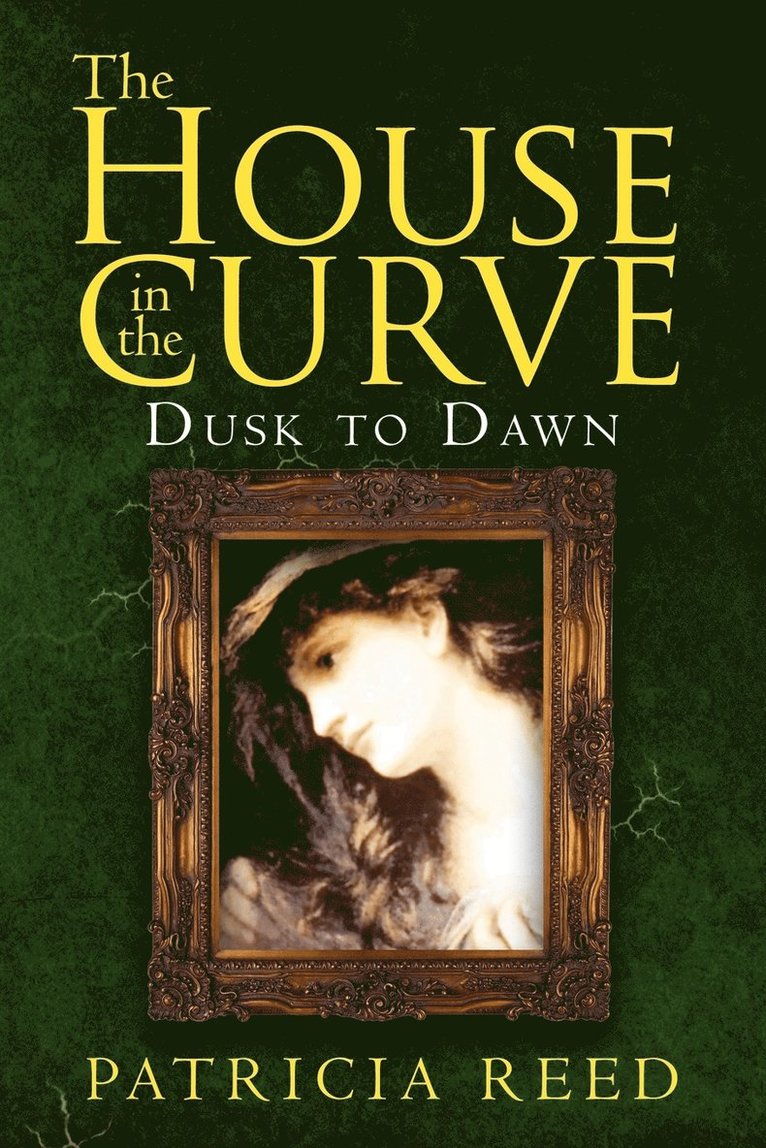 Patricia Reed - House in the Curve, Häftad