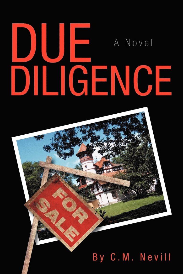 Due Diligence 1