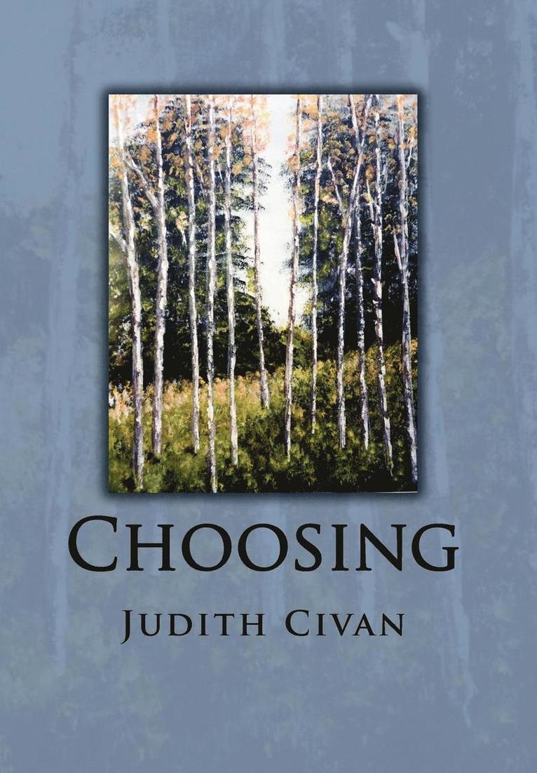 Judith Civan - Choosing, Inbunden