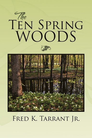 bokomslag Ten Spring Woods