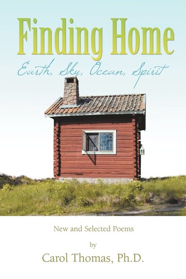 bokomslag Finding Home