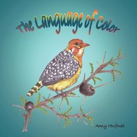 bokomslag Language of Color