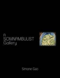 bokomslag A Somnambulist Gallery