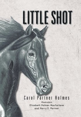 Carol Partner Holmes - Little Shot, Inbunden
