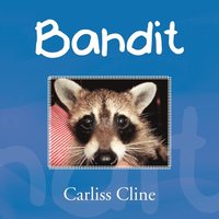 bokomslag Bandit