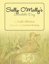 bokomslag Sally O'Mally's Incredible Day