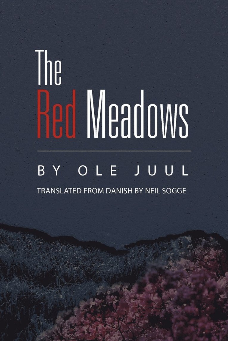 The Red Meadows 1