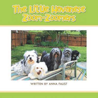 The Little Havanese Zoom-Zoomers 1