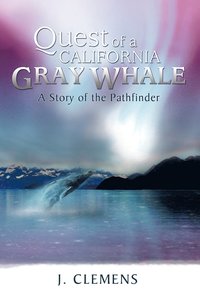 bokomslag Quest of a California Gray Whale