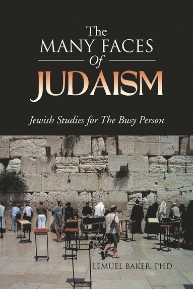 bokomslag The Many Faces of Judaism