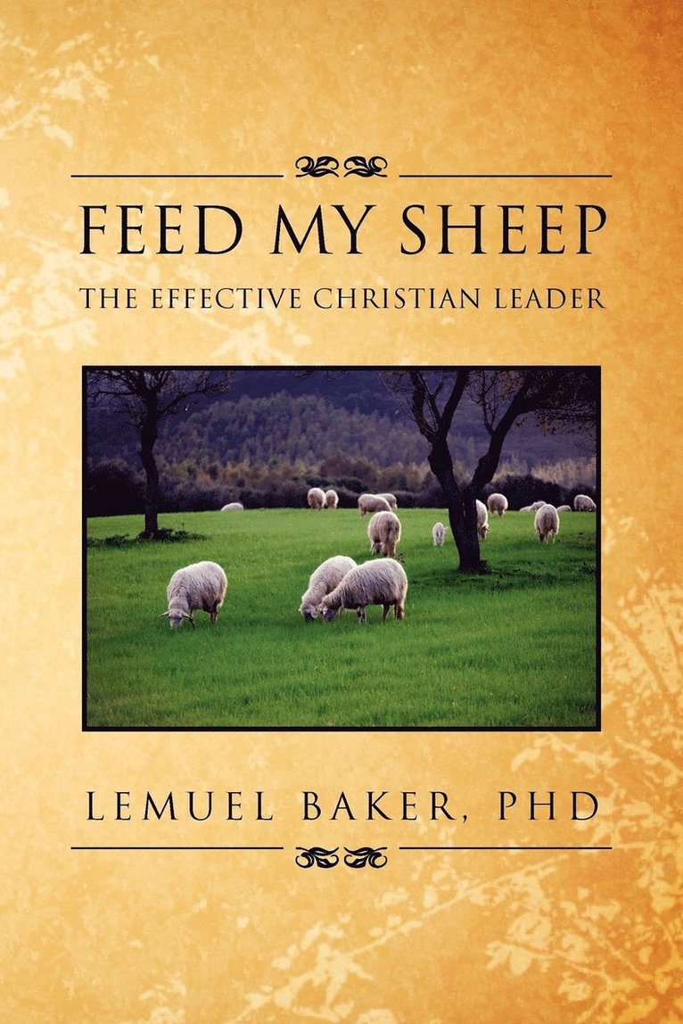 Feed My Sheep 1