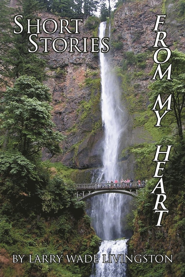 Larry Wade Livingston - Short Stories from My Heart, Häftad