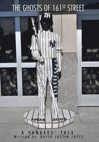bokomslag Ghosts Of 161st Street