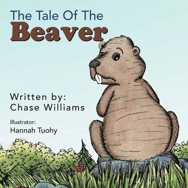 bokomslag Tale Of The Beaver