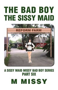 bokomslag The Bad Boy, the Sissy Maid